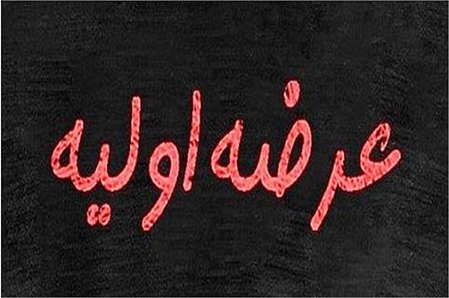 عرضه اولیه «آکو» با راهبری تامین سرمایه تمدن / آکوباتری ایرانیان به بازار دوم بورس تهران می رسد